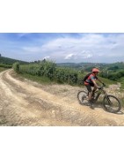 NOLEGGIO MTB E-BIKE | HostileRent.it